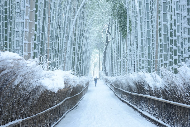 10 Aktivitas Seru Saat Liburan Musim Dingin di Jepang- Arashiyama Bamboo Forest