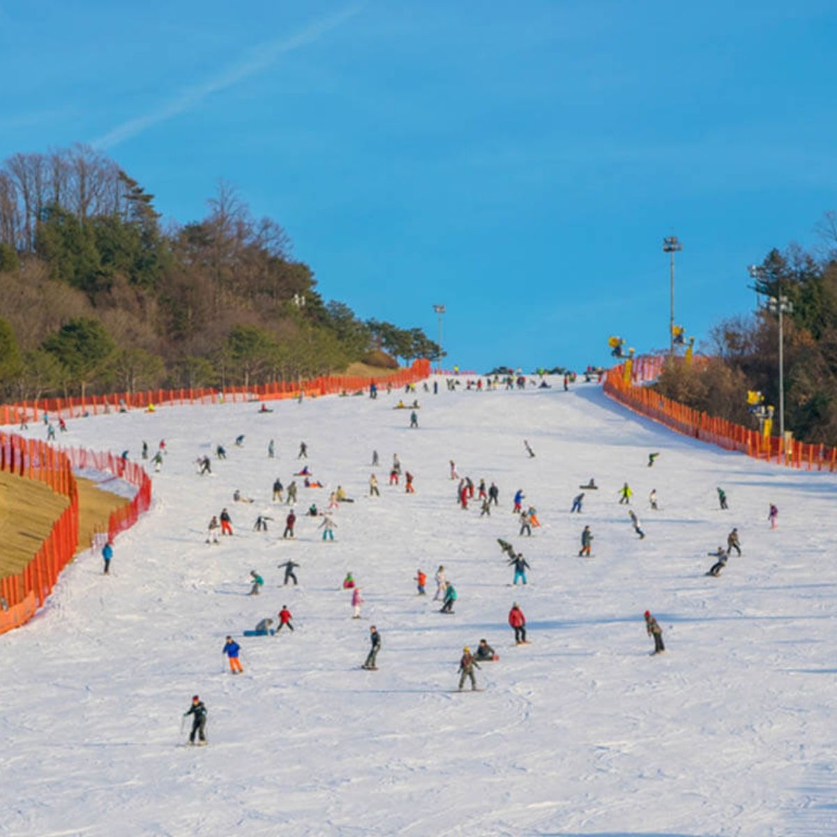 Itinerary 9d Tur Liburan Musim Dingin Korea Main Ski Blog