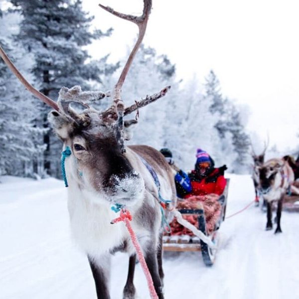 10 Destinasi Wisata Winter Terbaik di Eropa untuk Keluarga