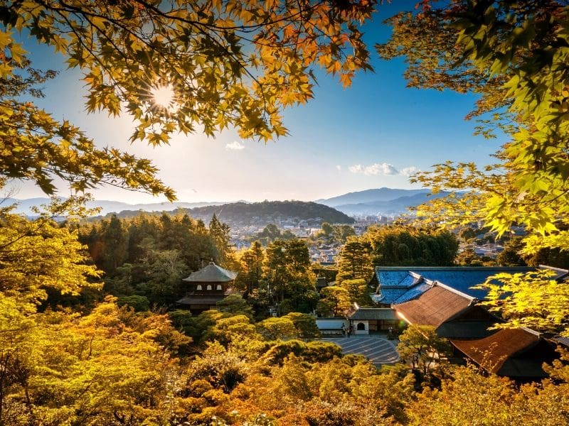 Waktu Terbaik Liburan ke Jepang Saat Musim Gugur - Sumber Unsplash