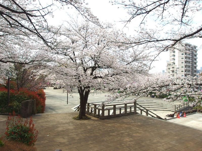Asukayama Park - Sumber Flickr