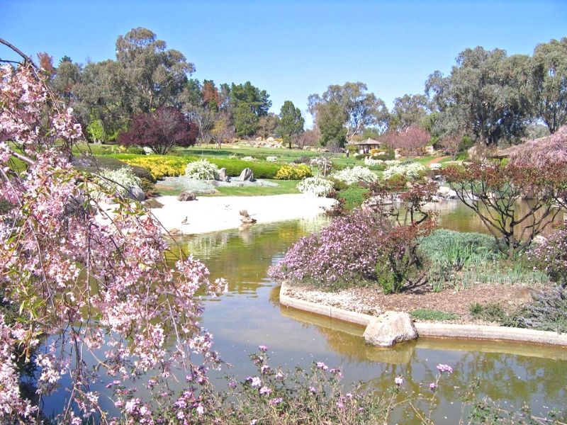 Japanese Garden, Cowra, Australia - Sumber Wikimedia