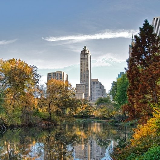 Central Park, New York - Sumber: Wikipedia
