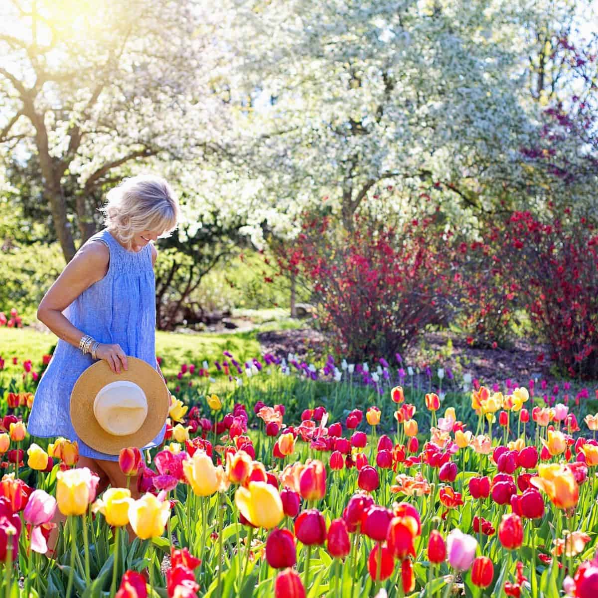 10 Spot Terbaik Melihat Festival Taman Bunga Tulip Eropa Asia