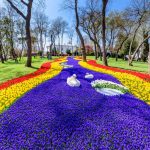 5 Tempat Terbaik Melihat Festival Taman Bunga Tulip di Turki - Emirgan Park