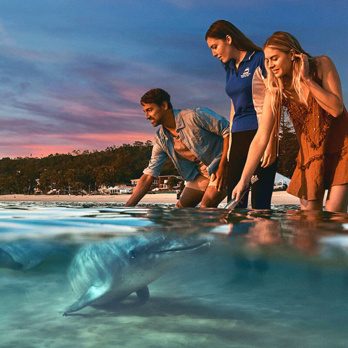 3 Kegiatan Seru di Tangalooma Australia, Dolphin Feeding Hingga Sand Tobogganing!