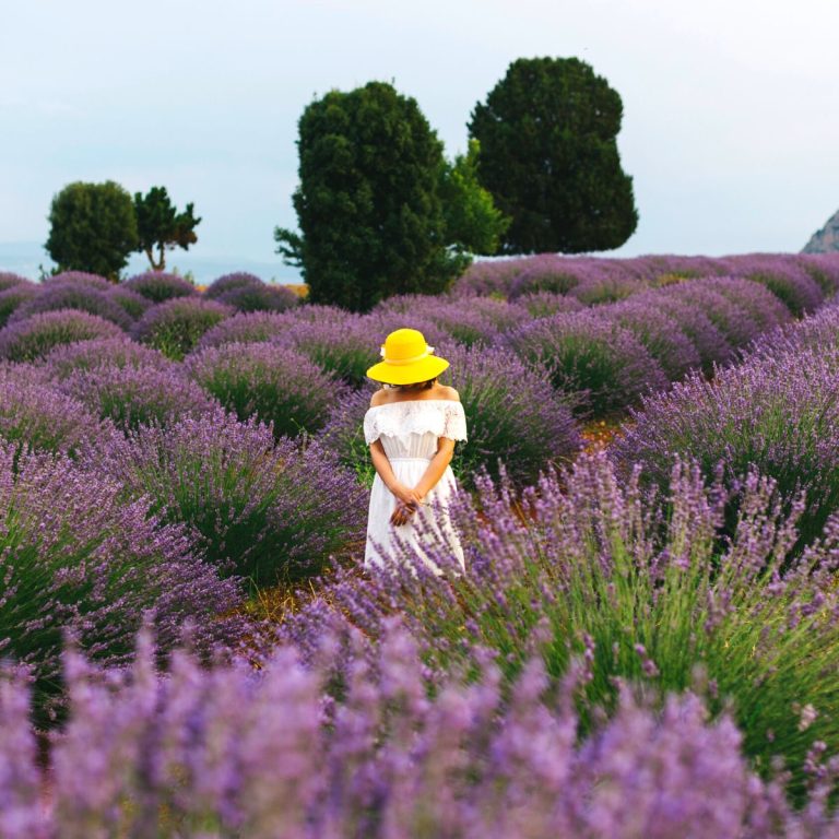 Indahnya Padang Lavender di Desa Kuyucak Isparta Turki