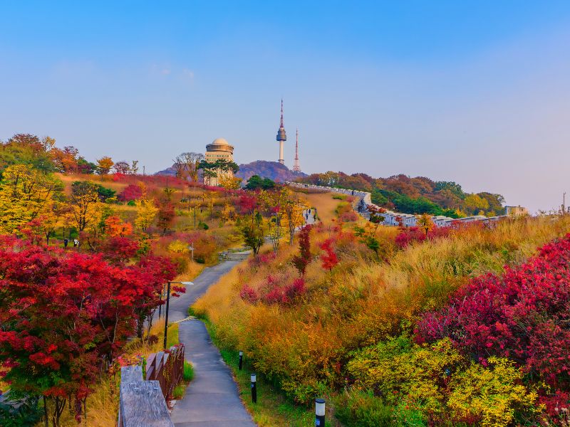 Best Time Mengunjungi Korea Saat Musim Gugur
