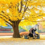 Musim dan Waktu Terbaik Mengunjungi Korea
