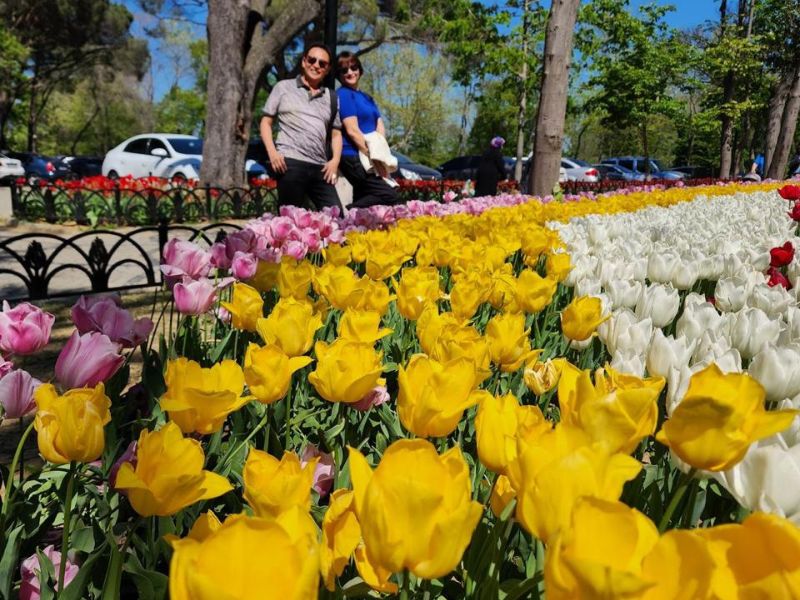 Libur Lebaran di Turki Bisa Lihat Tulip