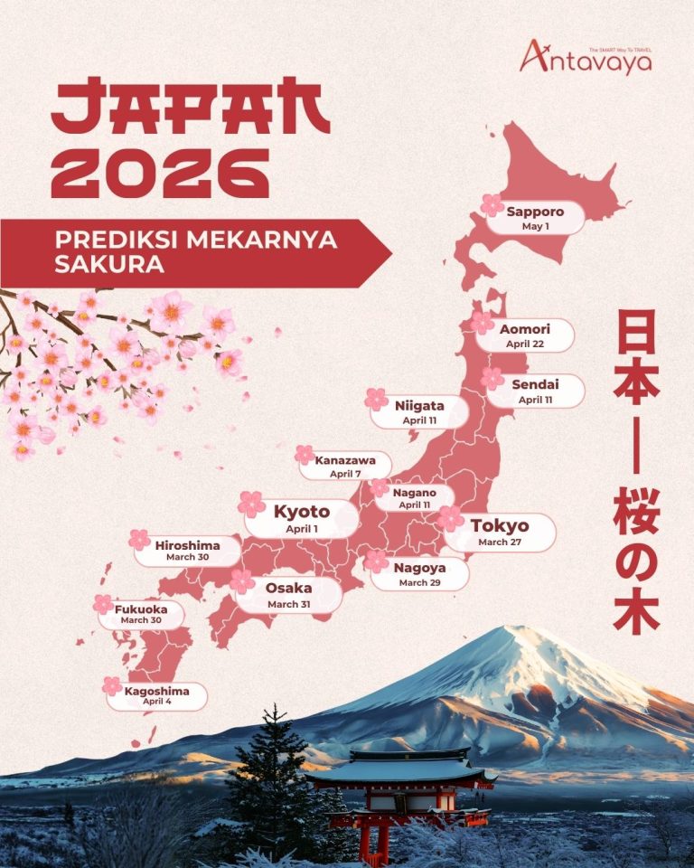 Prediksi Mekarnya Sakura Jepang 2026 Panduan Spot dan Tanggal Lengkap