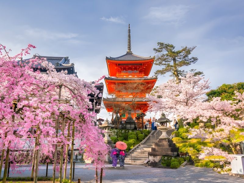Sakura Kyoto – Kiyomizu-dera Temple