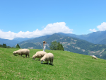Taiwan Leisure Farm - Saatnya Liburan Seru ke Countryside Taiwan
