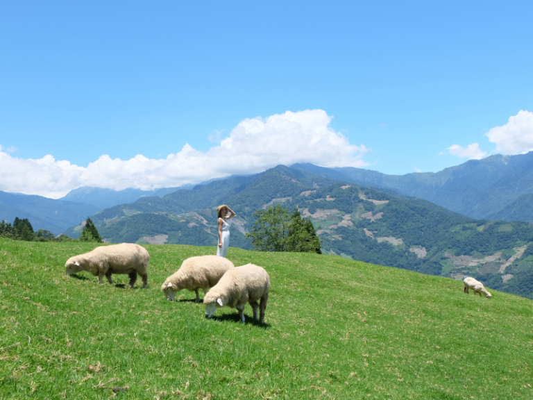 Taiwan Leisure Farm - Saatnya Liburan Seru ke Countryside Taiwan