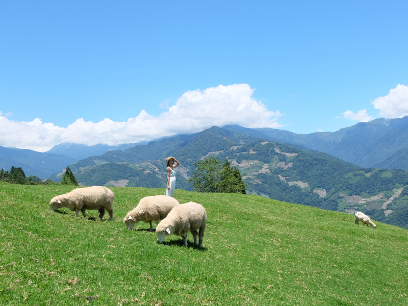Taiwan Leisure Farm - Saatnya Liburan Seru ke Countryside Taiwan