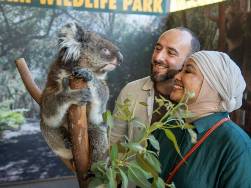 Bertemu Kanguru dan Koala dari Dekat