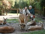 Serunya Liburan Keluarga di Caversham Wildlife Park Perth, Bisa Ngapain Aja