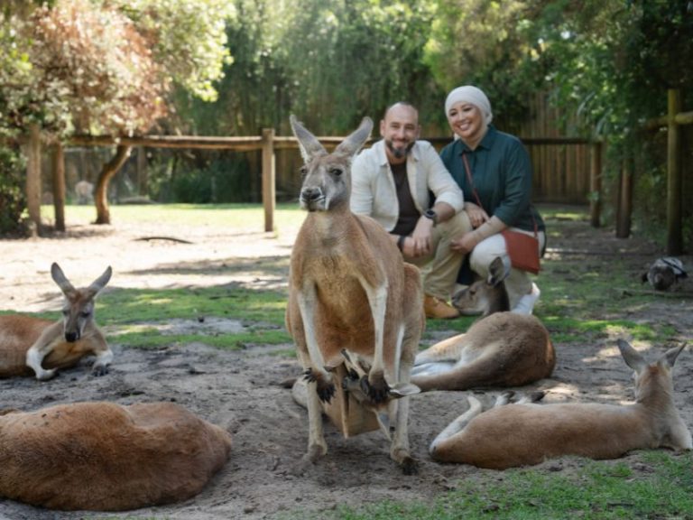 Serunya Liburan Keluarga di Caversham Wildlife Park Perth, Bisa Ngapain Aja