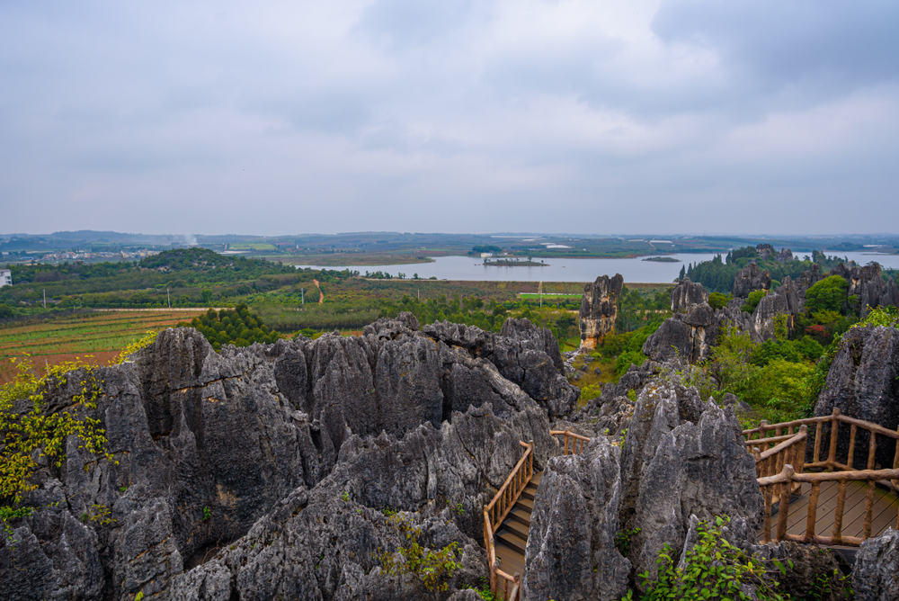Naigu Stone Forest Scenic Spot