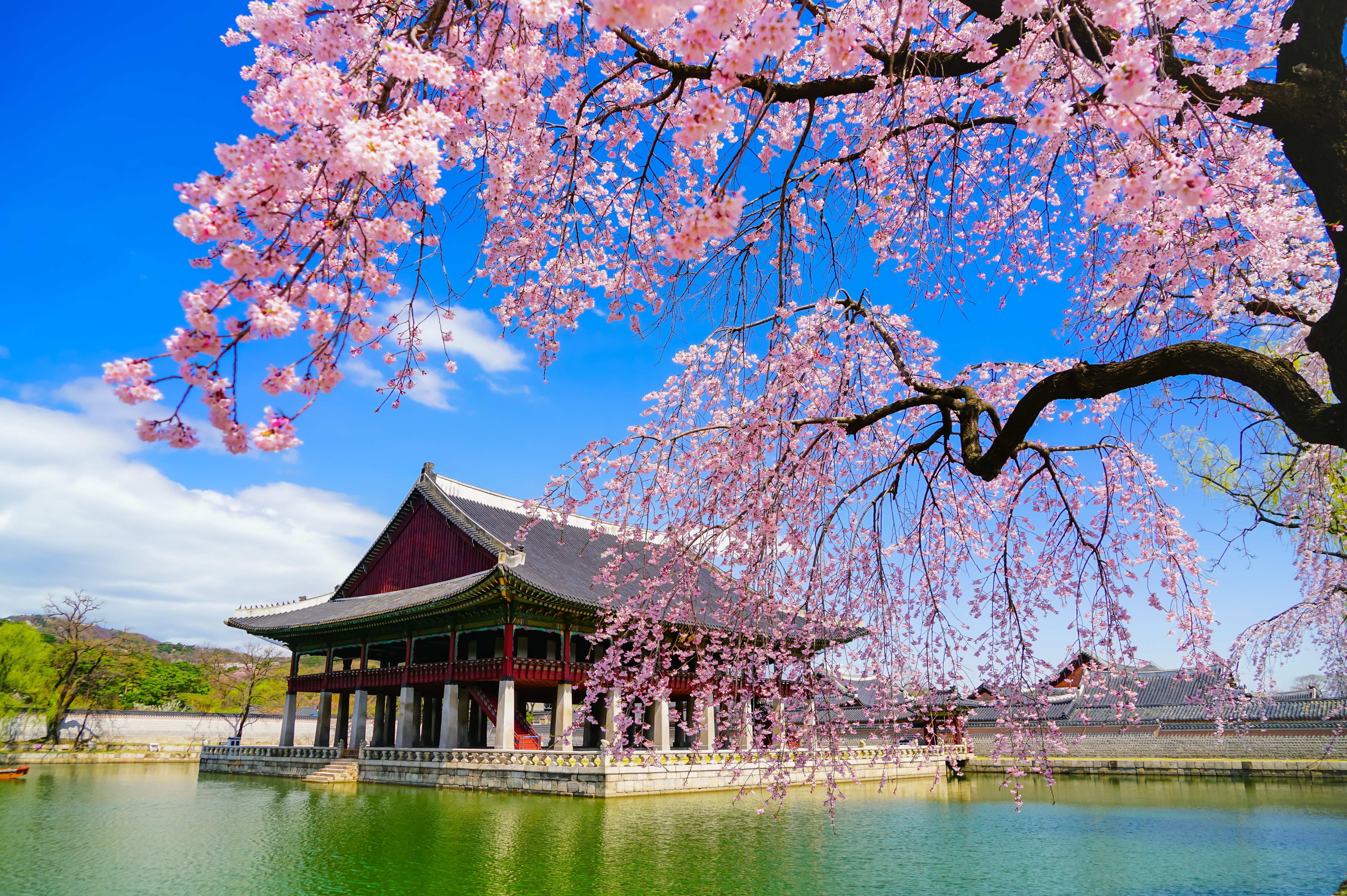 Gyeongbok Palace